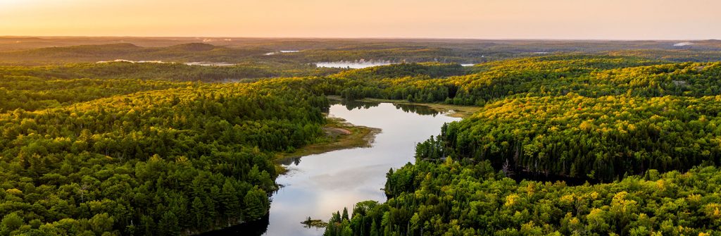 A river running through a forest.